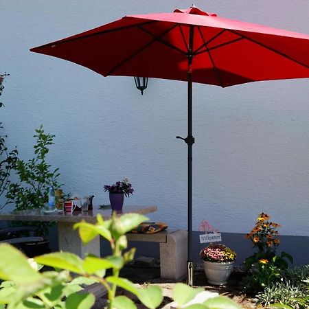 Ferienappartement Donautal Obernzell Екстер'єр фото