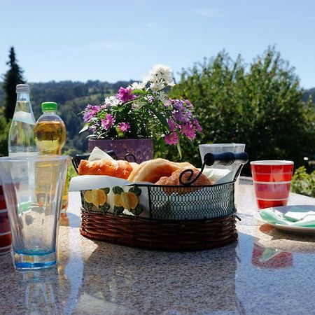 Ferienappartement Donautal Obernzell Екстер'єр фото