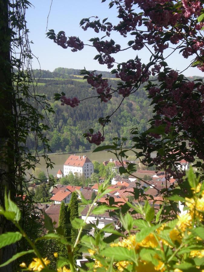 Ferienappartement Donautal Obernzell Екстер'єр фото